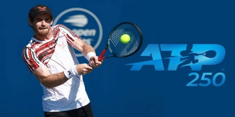 Lý do cá cược ATP đang thu hút nhiều người tham gia
