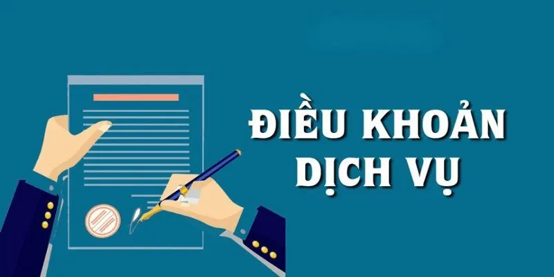 Phạm vi sử dụng điều khoản