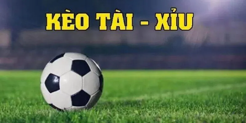 Trải nghiệm giải trí thú vị với kèo tài xỉu